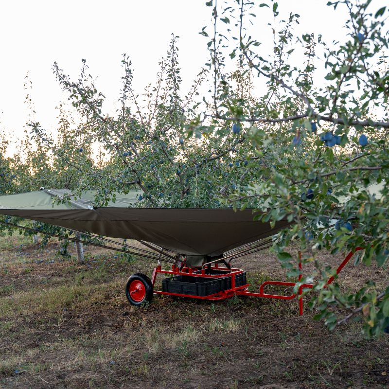 Modello standard miniatura 1