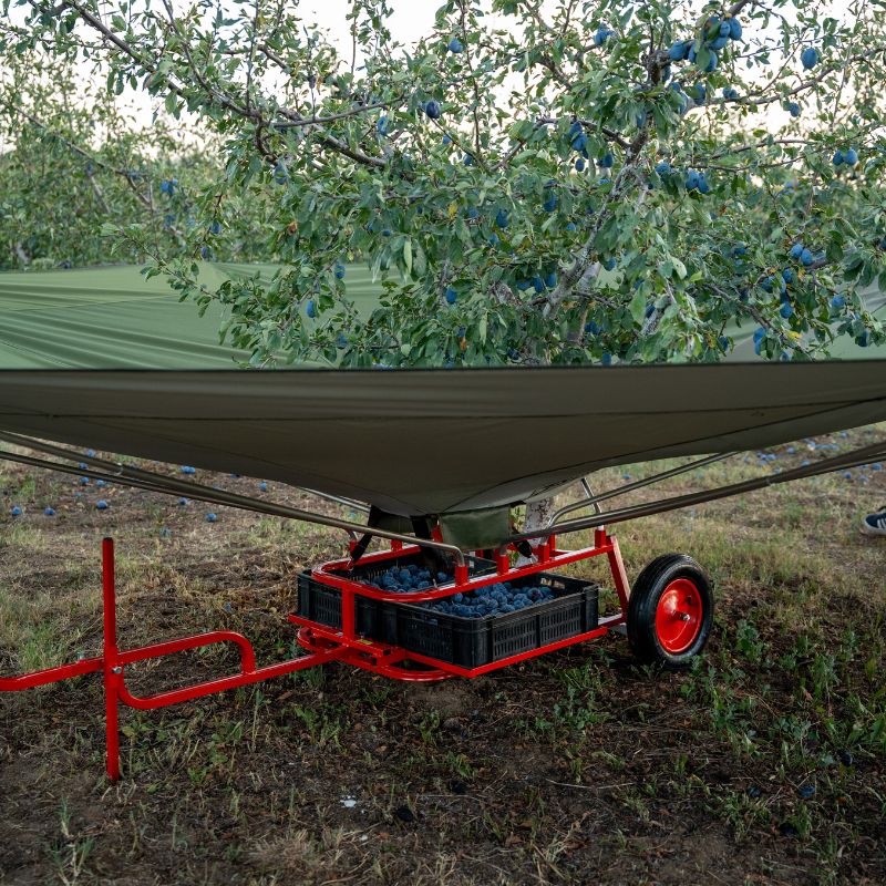 Installazione attrezzatura