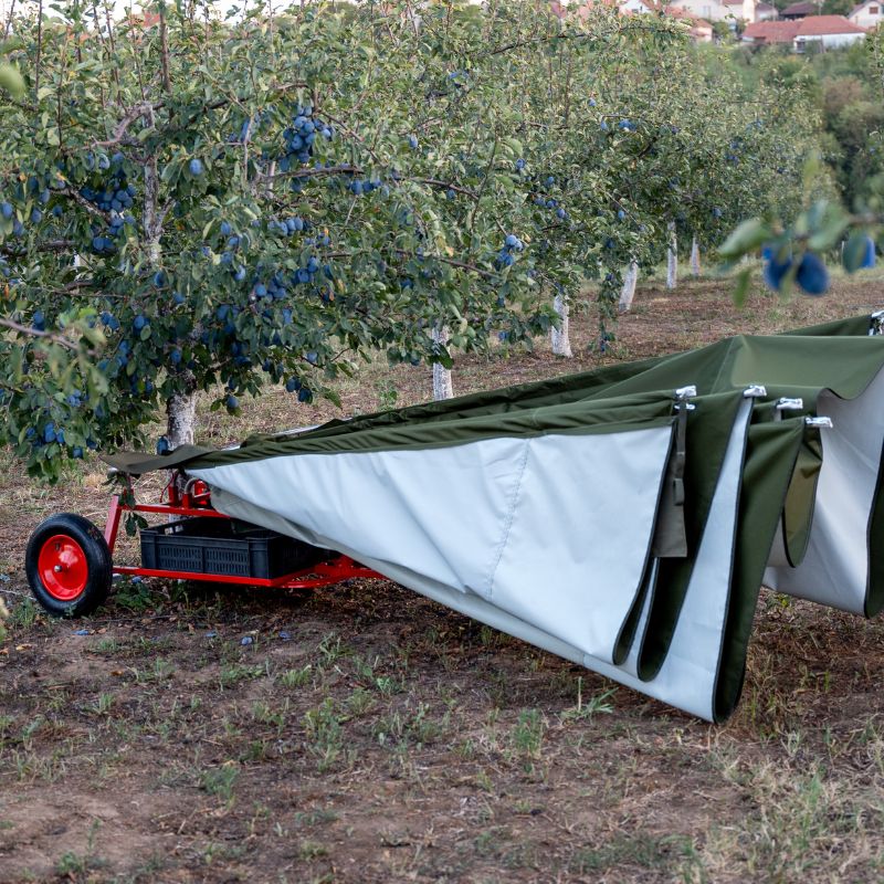 Modello standard miniatura 3