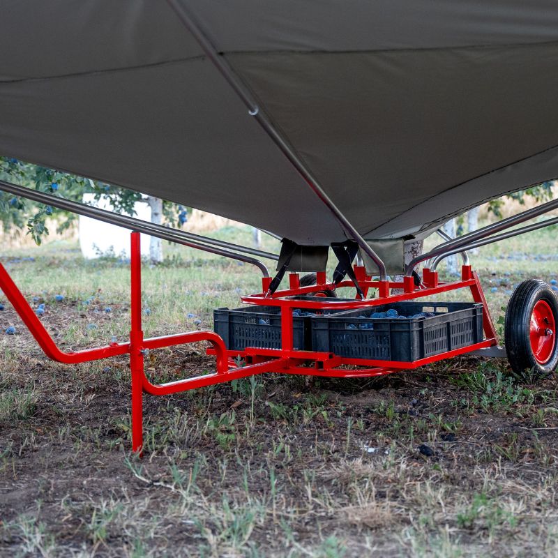 Processo di raccolta