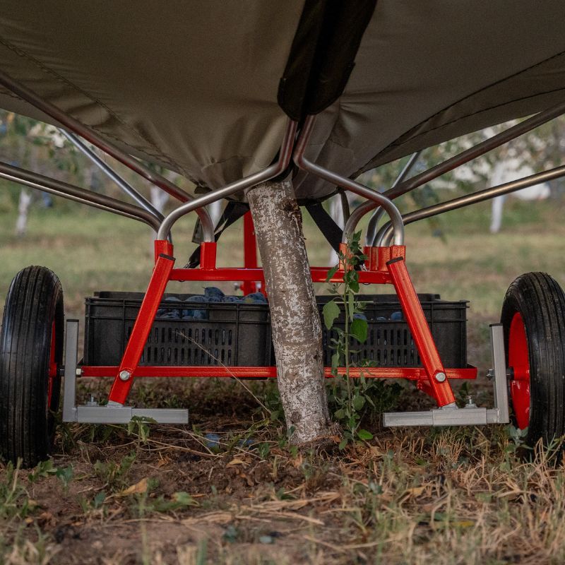 Selezione e raccolta