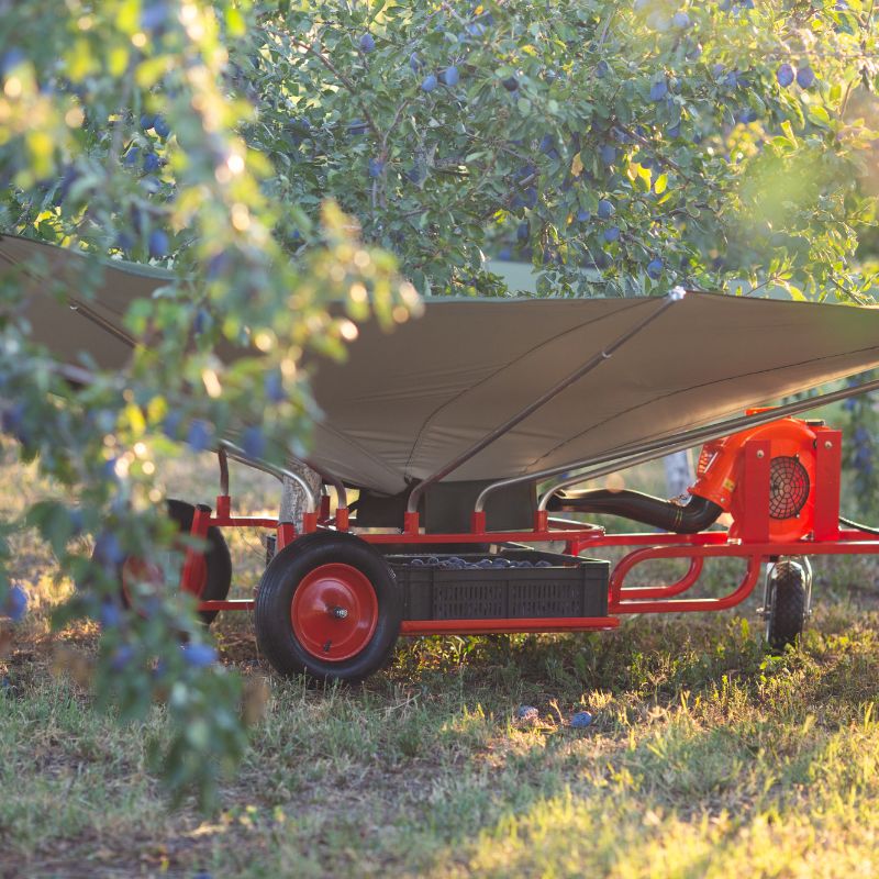 Modello soffiatore miniatura 1