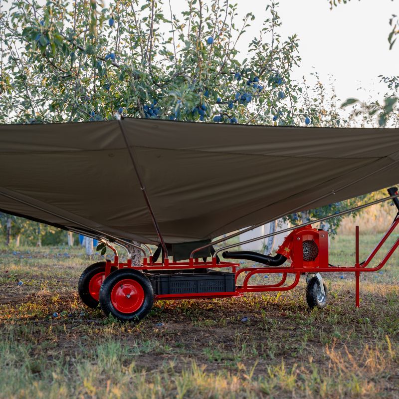 Modello soffiatore miniatura 4