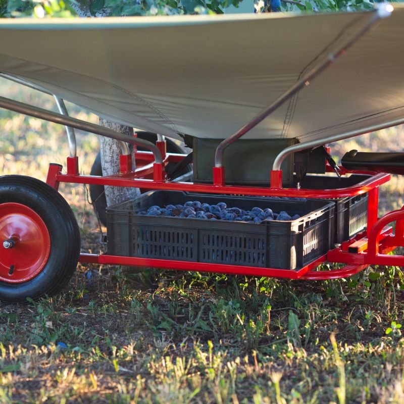 Modello soffiatore miniatura 5